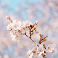 暖かい1日