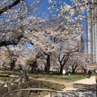 おはようございます。