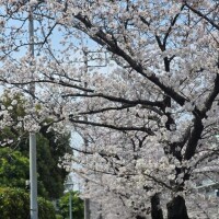 ご予約ありがとうございます