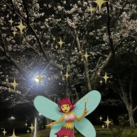 ストイック？スパルタ？