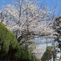 ☆☆3月のありがとう☆☆