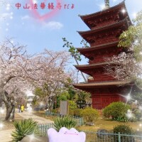 ?中山法華経寺に行ってきたよ?