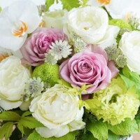 ☆☆新年度の四月がスタート☆☆