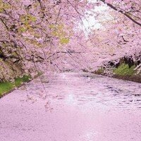 お天気悪いけど