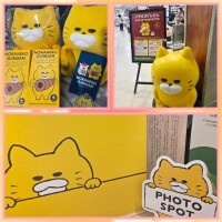 仕事帰りに推し活