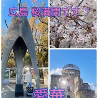 広島 桜満開ですっ♪