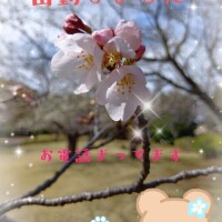 ? 出勤しました??  《お電話まってま～す》