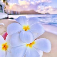 （おはようございます〉