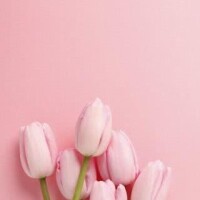 晴れましたね??.°