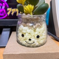 野中みなと