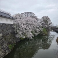 ご予約ありがとうございます