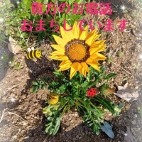 ?出勤しました???お電話まってます?の話し