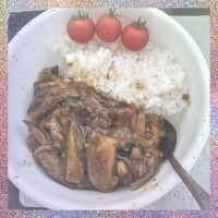 ナスさんいらっしゃい