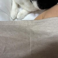 はづきからのお知らせ