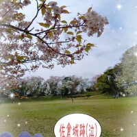 ?佐倉市探検最終回?ご予約待ってま～す??