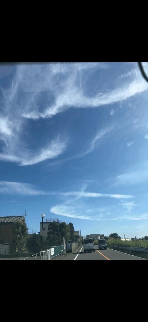 明日出勤します