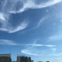 明日出勤します