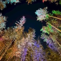 昨日はありがとうございました