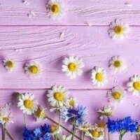 ありがとうございました??