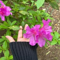 [お題]from:お茶さん