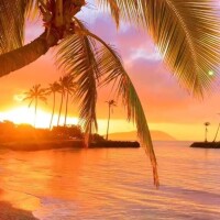 《こんばんは》