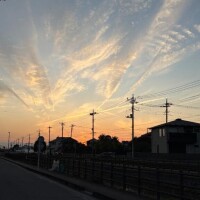 先ほどの続きです