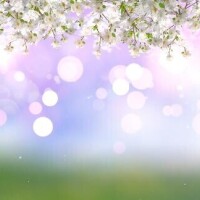 ありがとうございました