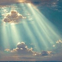 ありがとうございます