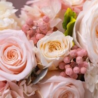 おはようございます?