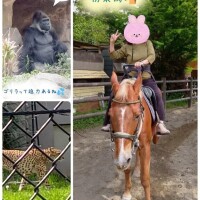 ?ネモフィラを見に行っただけなのに第四話?