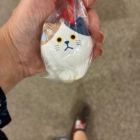 はづきからのお知らせ