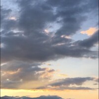 ありがとうございます