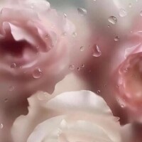 今日から５月