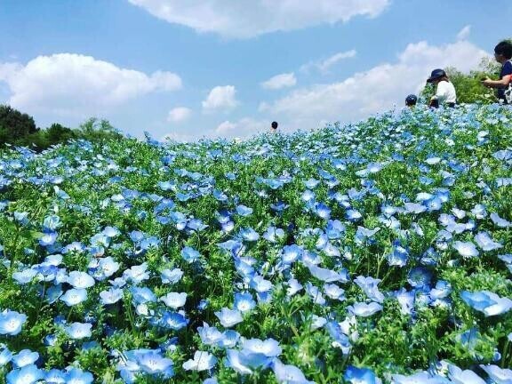 5月といえば
