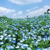 5月といえば