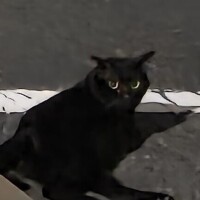 おはようございます?