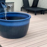 夏目ここ