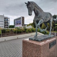 女性G1ジョッキー♪