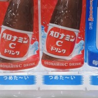 今日はお休みだけど
