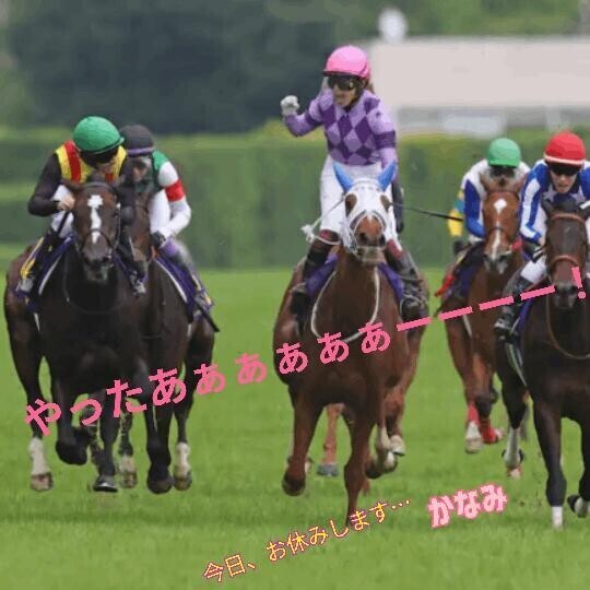 本日、お休みします…