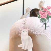 確定しています