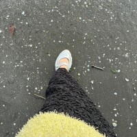 はづきから