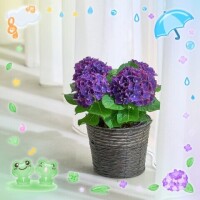 こんにちは(^^)