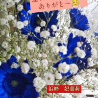 今日は涼しい