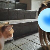 お礼☆