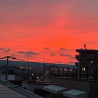 明日出勤します