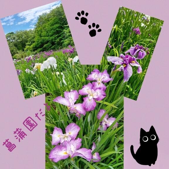 ♪三日月♪出勤しました? ?お電話まってます