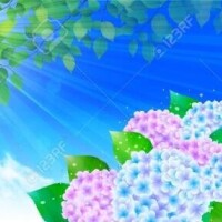 月宮まこ