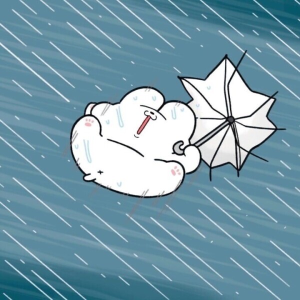 おはようございます☀️