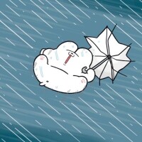 のこ
